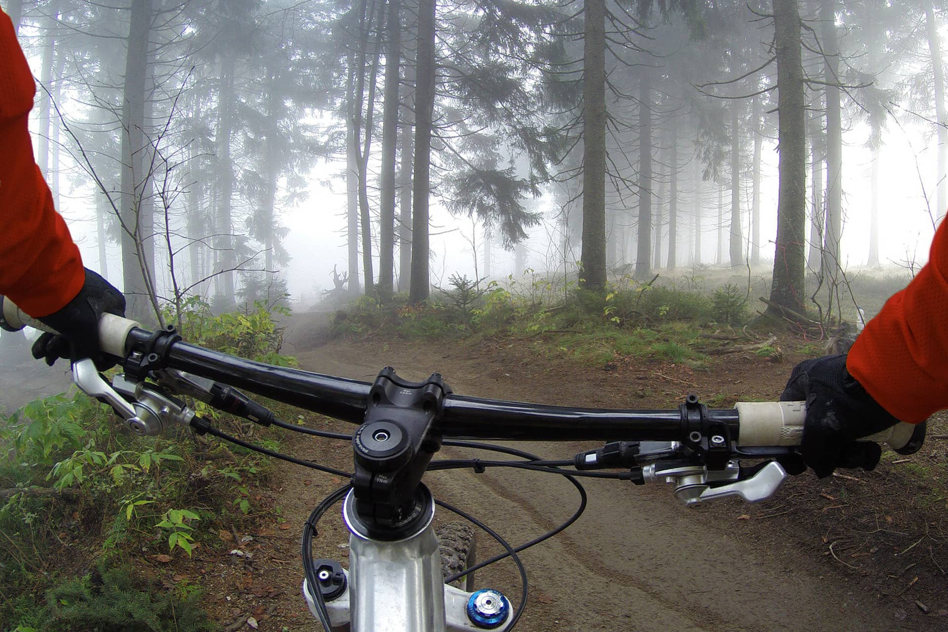 Hand-Built Mountain Bike Wheels